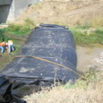 Davis, CA 2006