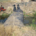 Davis, CA 2006