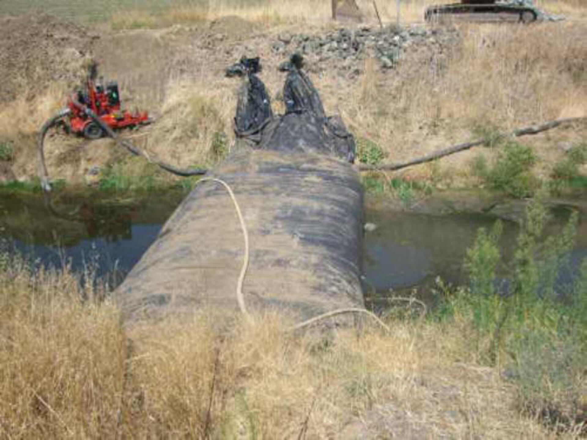 Davis, CA 2006
