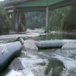 Arcata, CA 1997