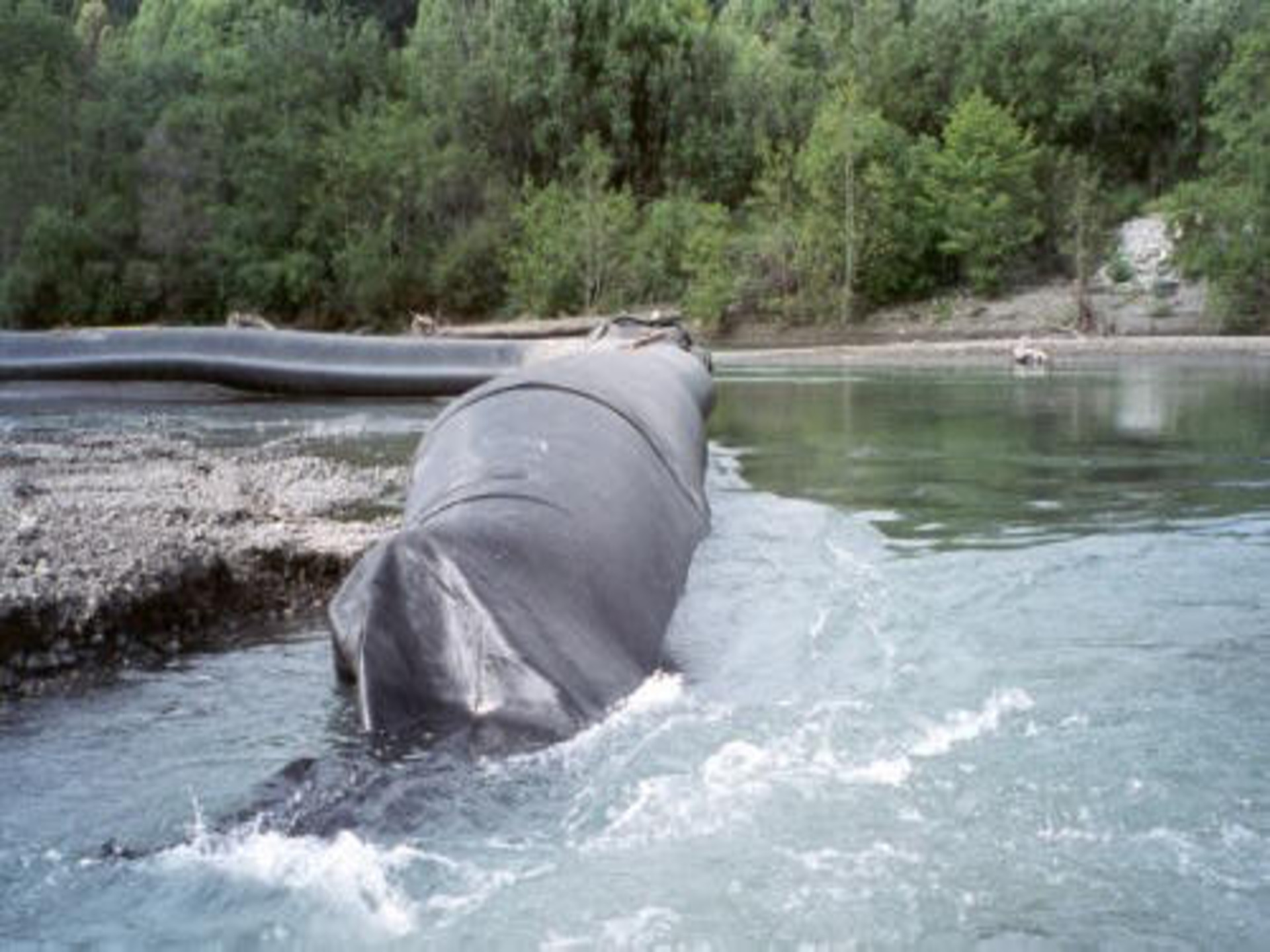 Arcata, CA 1997