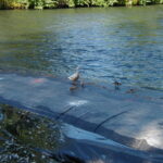 Grants Pass, OR 2003