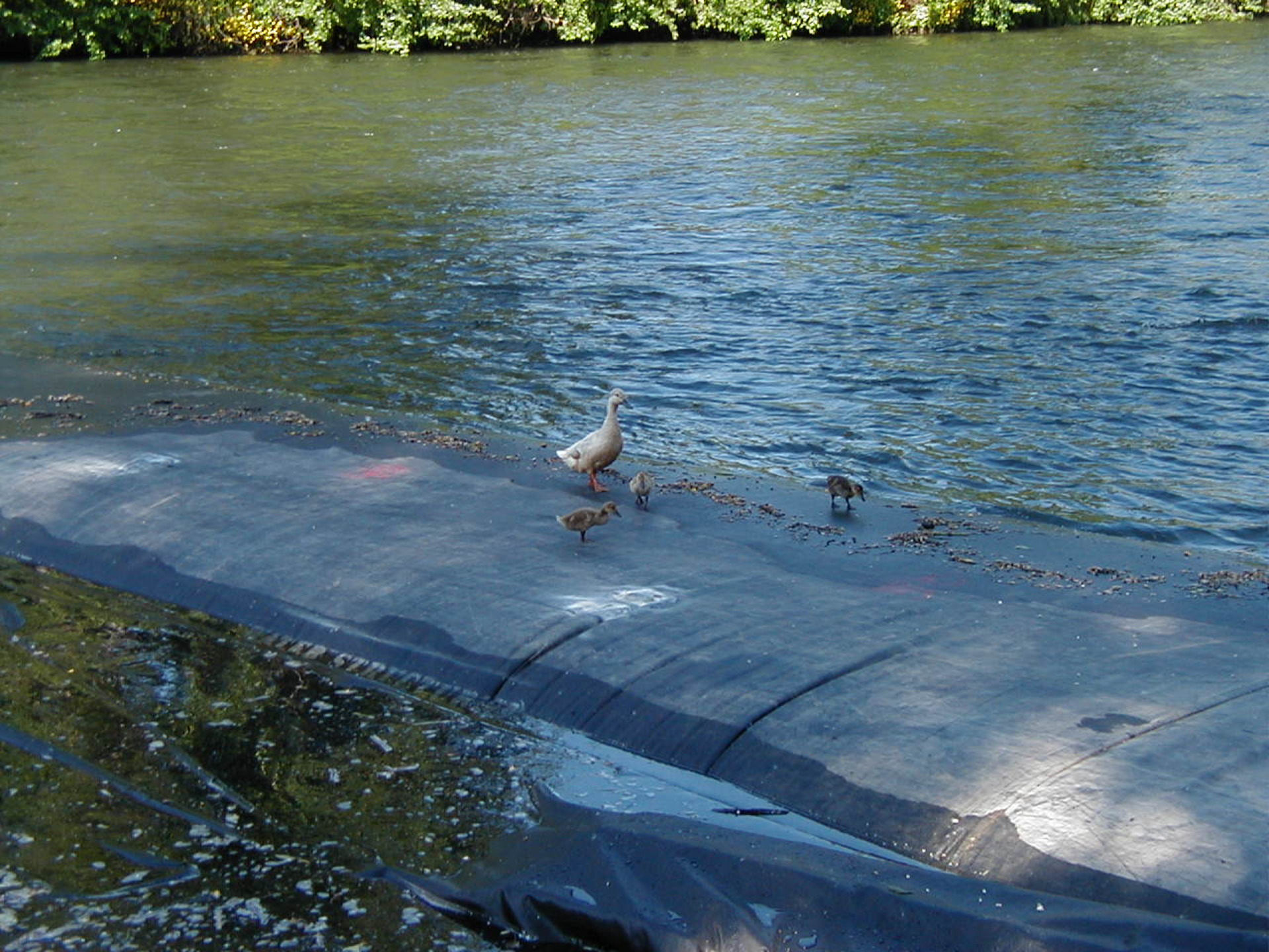 Grants Pass, OR 2003