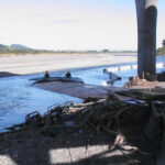 Alton, CA 2006