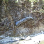 Leggett, CA 2005
