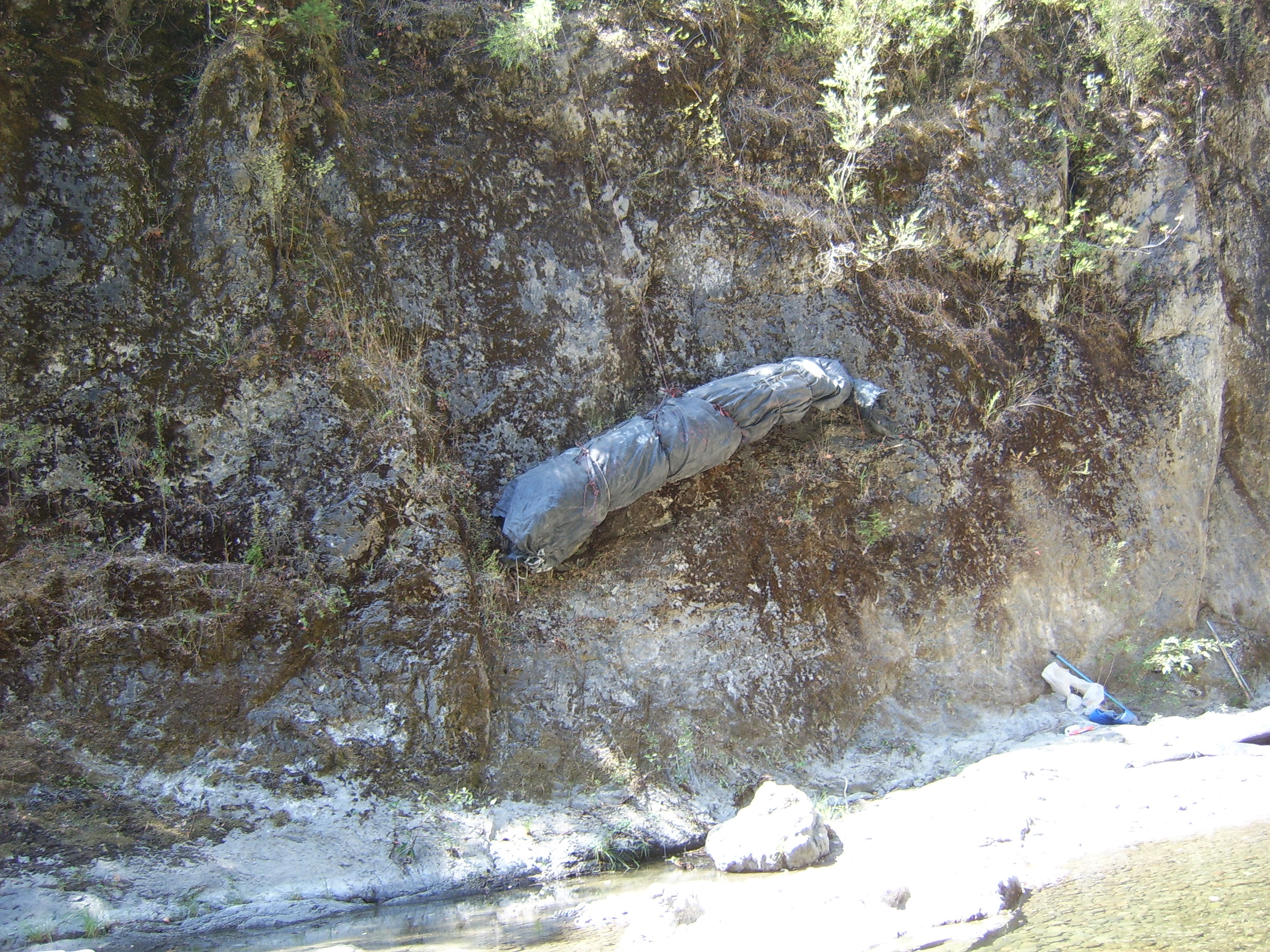 Leggett, CA 2005