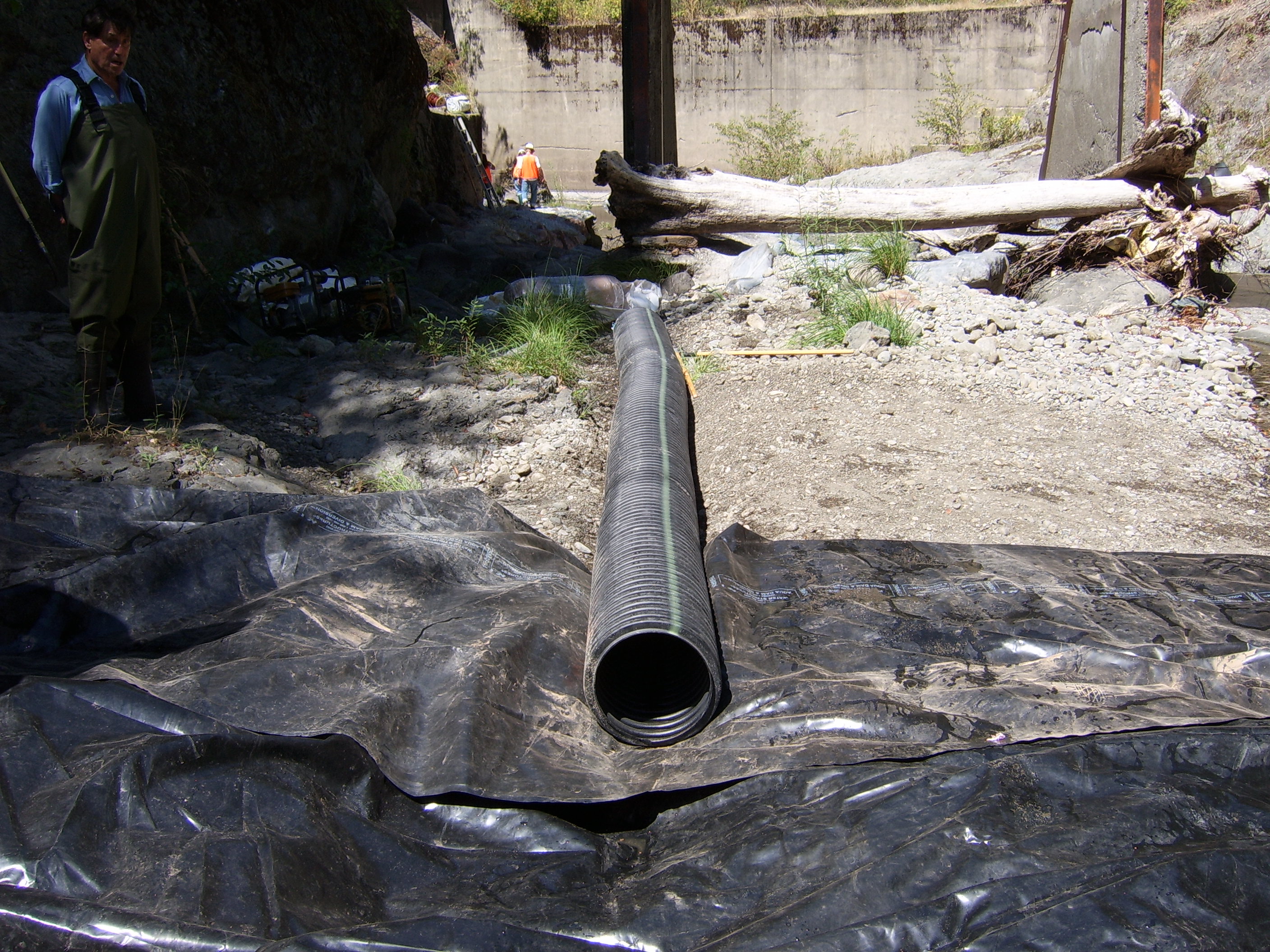 Leggett, CA 2005
