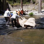 Leggett, CA 2005
