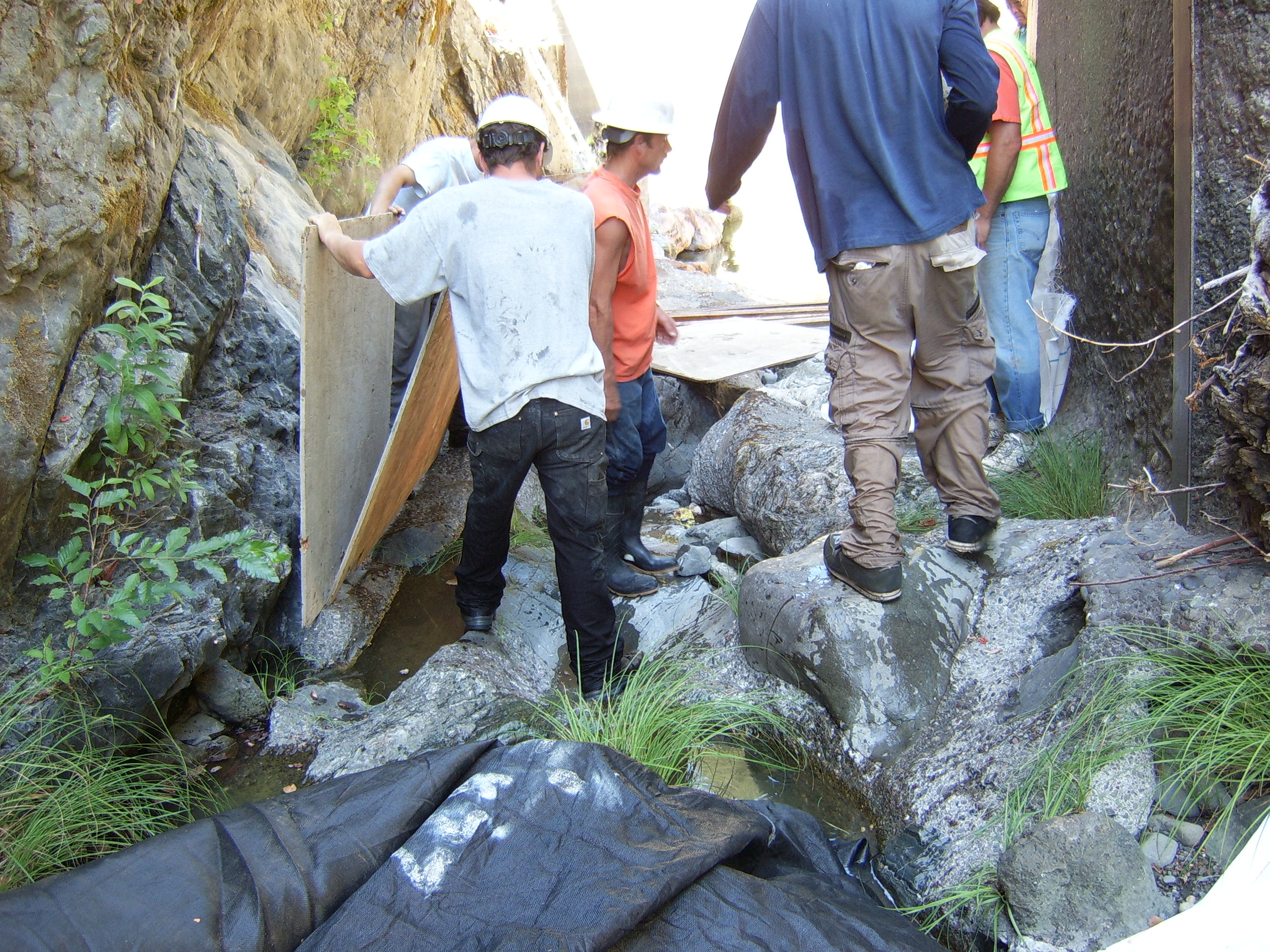 Leggett, CA 2005