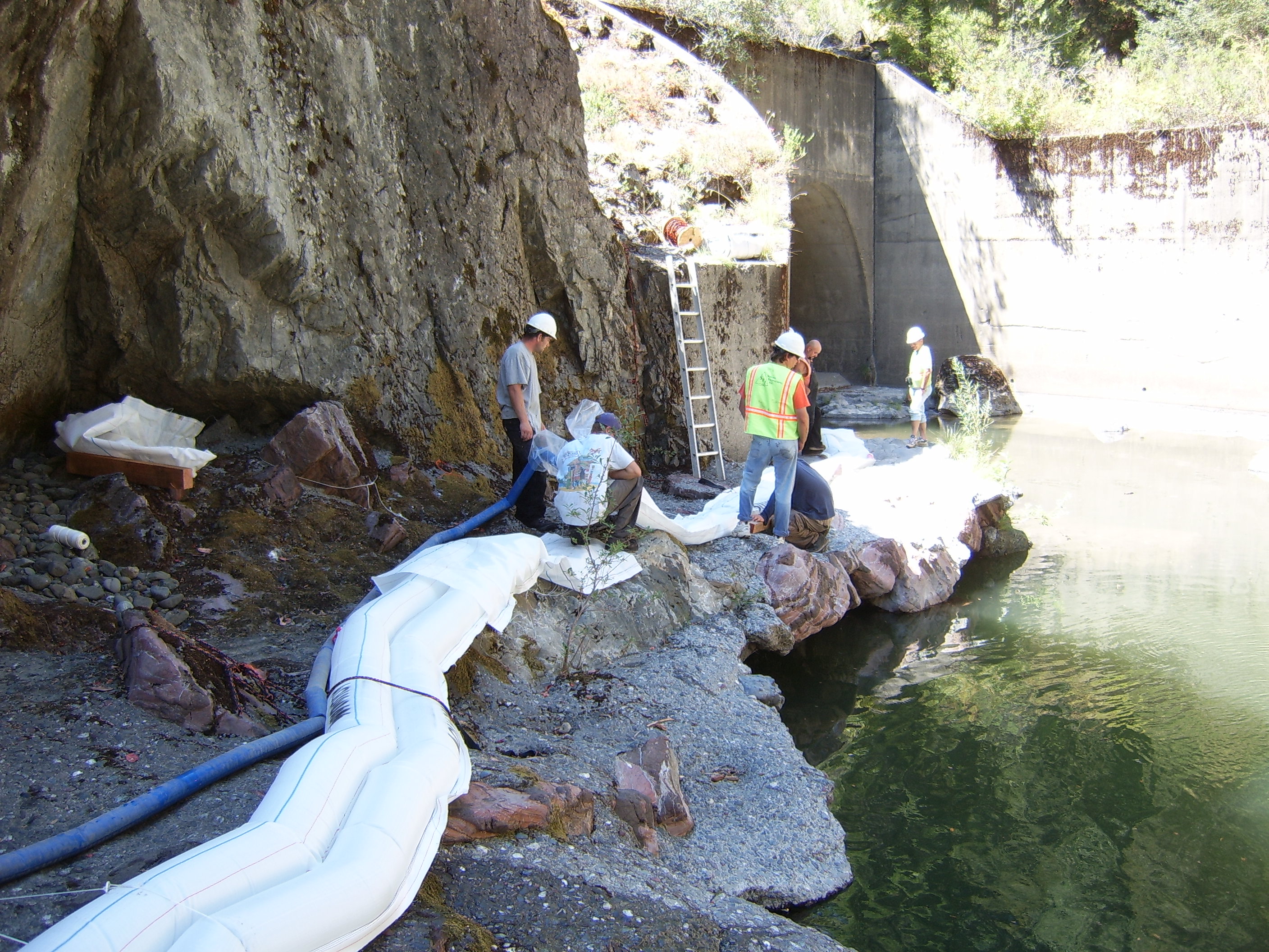 Leggett, CA 2005