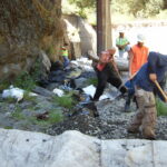 Leggett, CA 2005