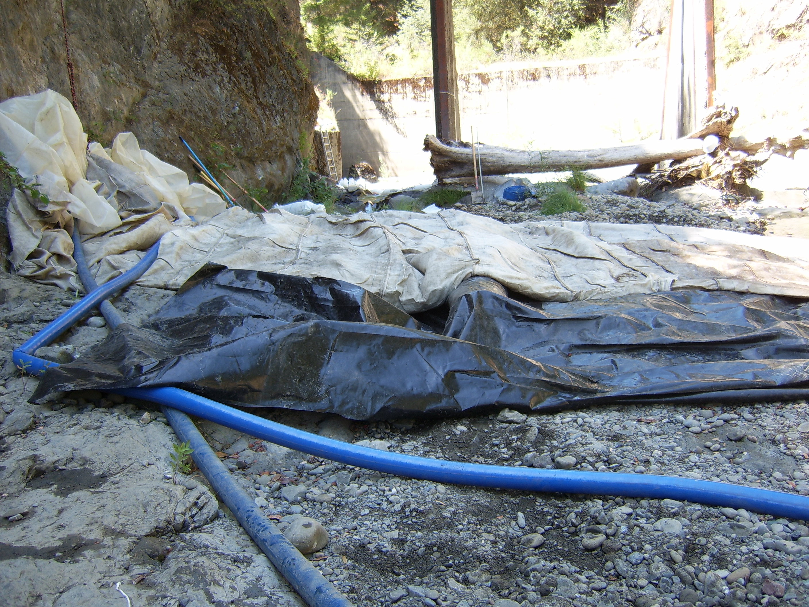 Leggett, CA 2005
