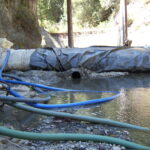 Leggett, CA 2005