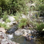 Leggett, CA 2005