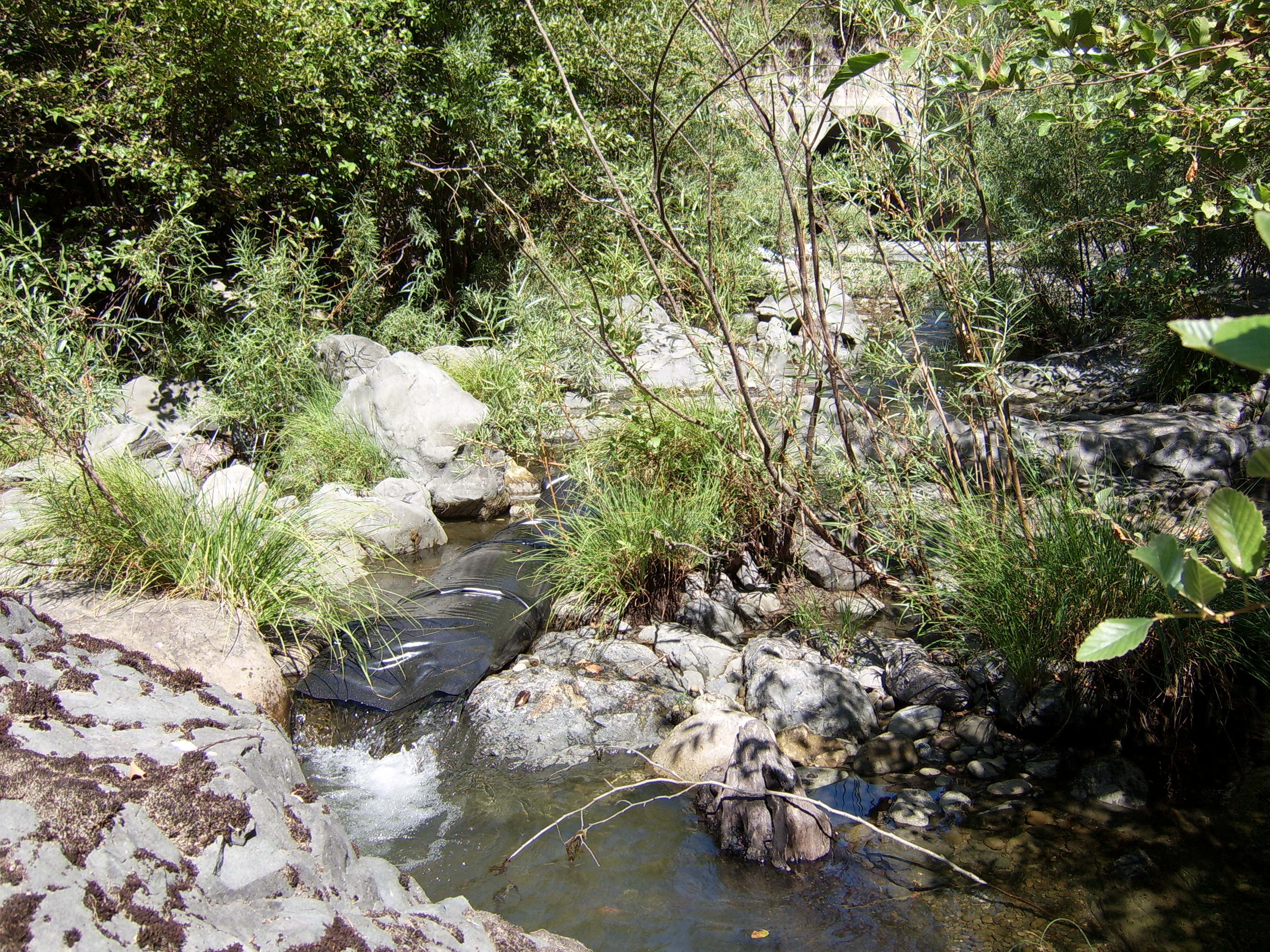 Leggett, CA 2005
