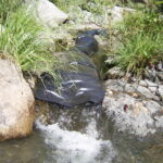 Leggett, CA 2005