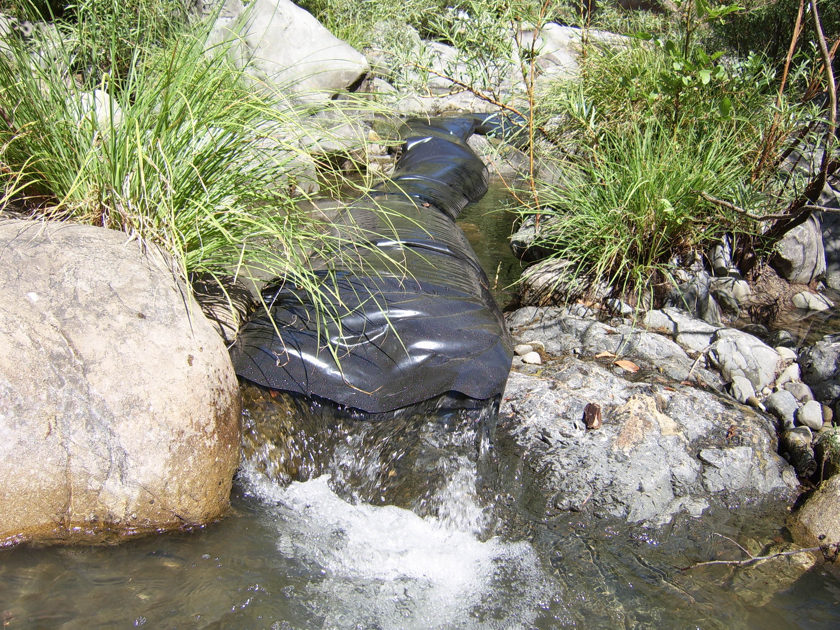 Leggett, CA 2005