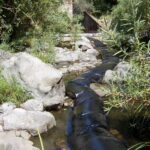 Leggett, CA 2005