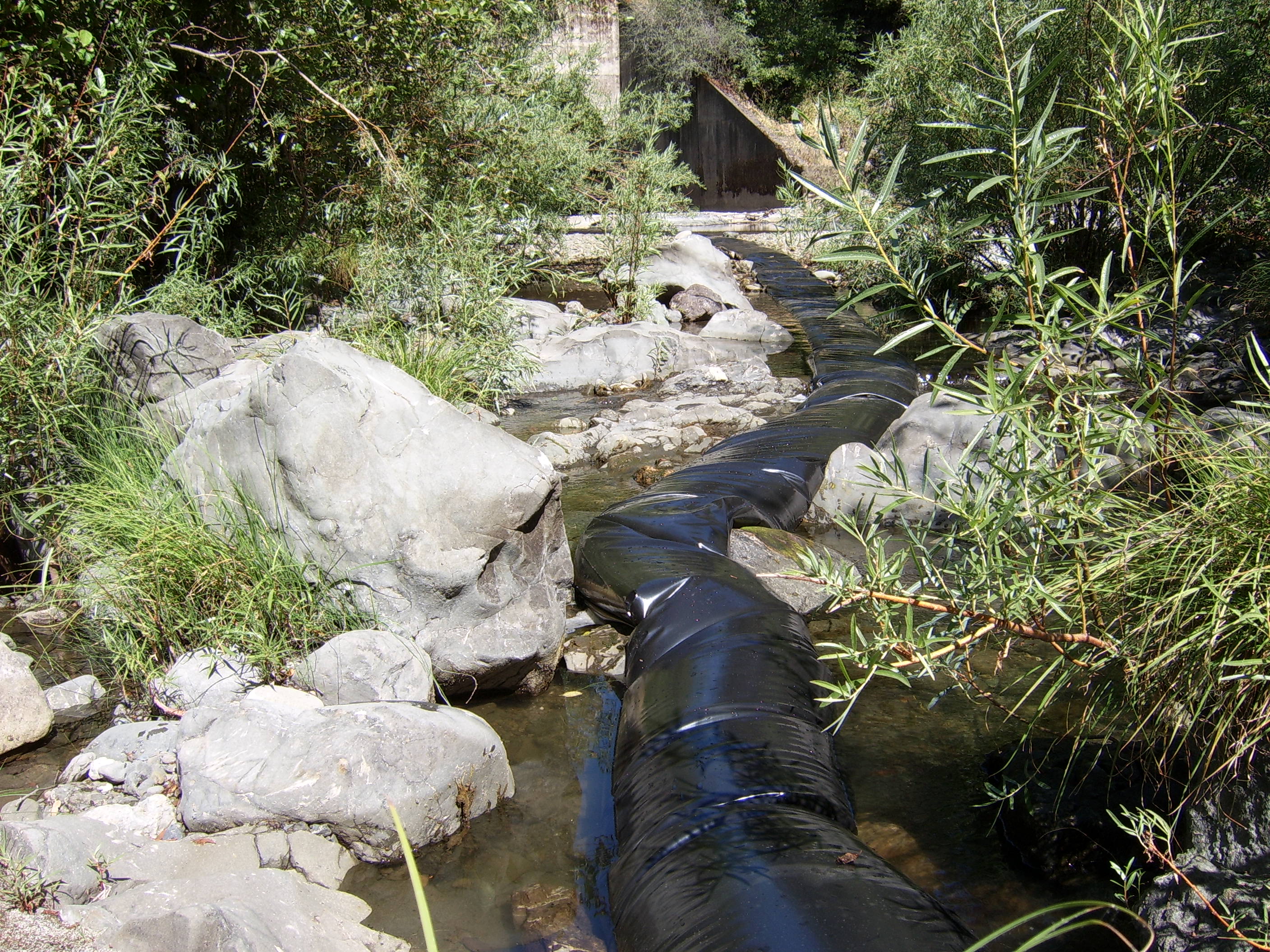 Leggett, CA 2005
