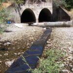 Leggett, CA 2005