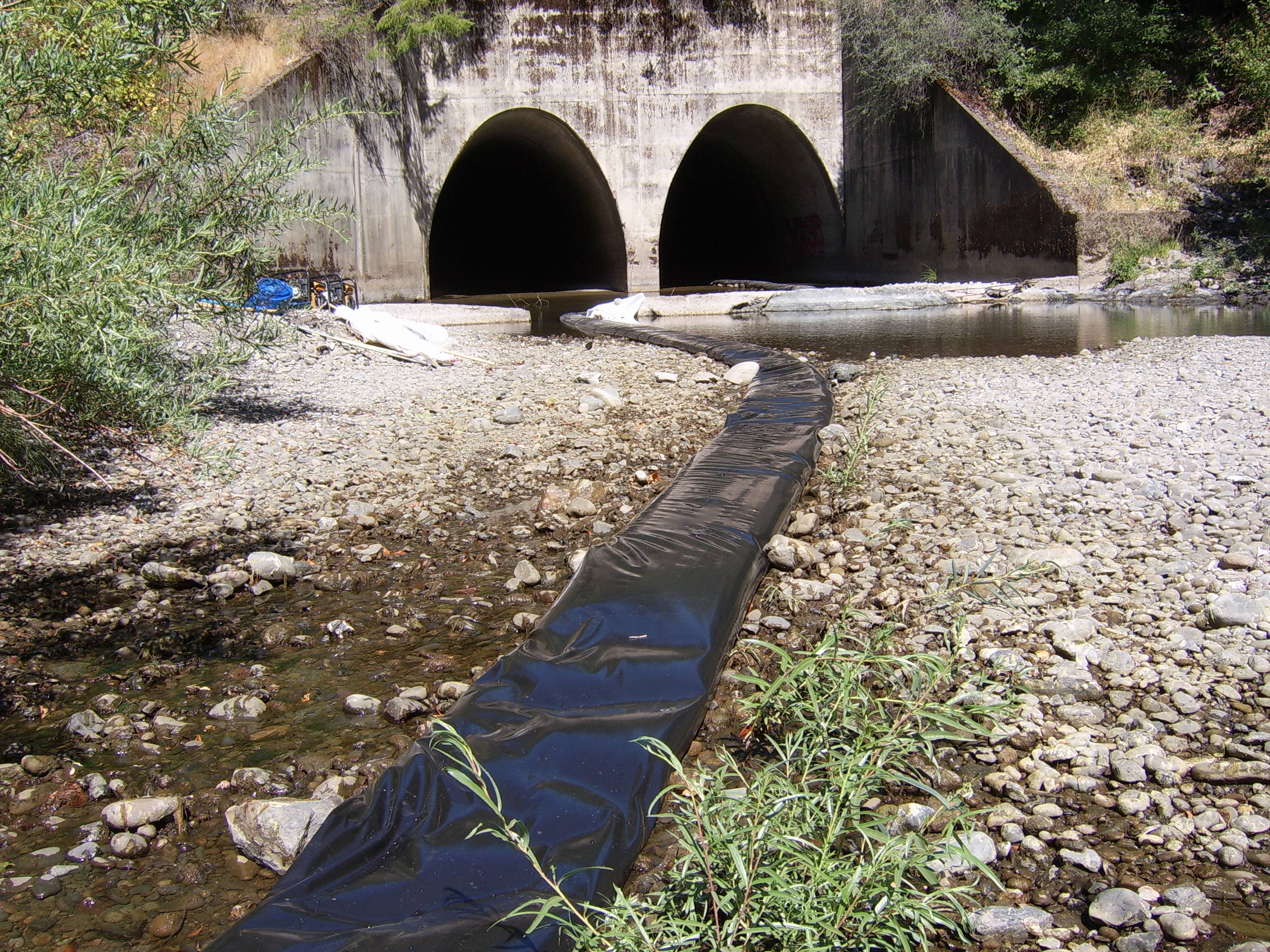 Leggett, CA 2005