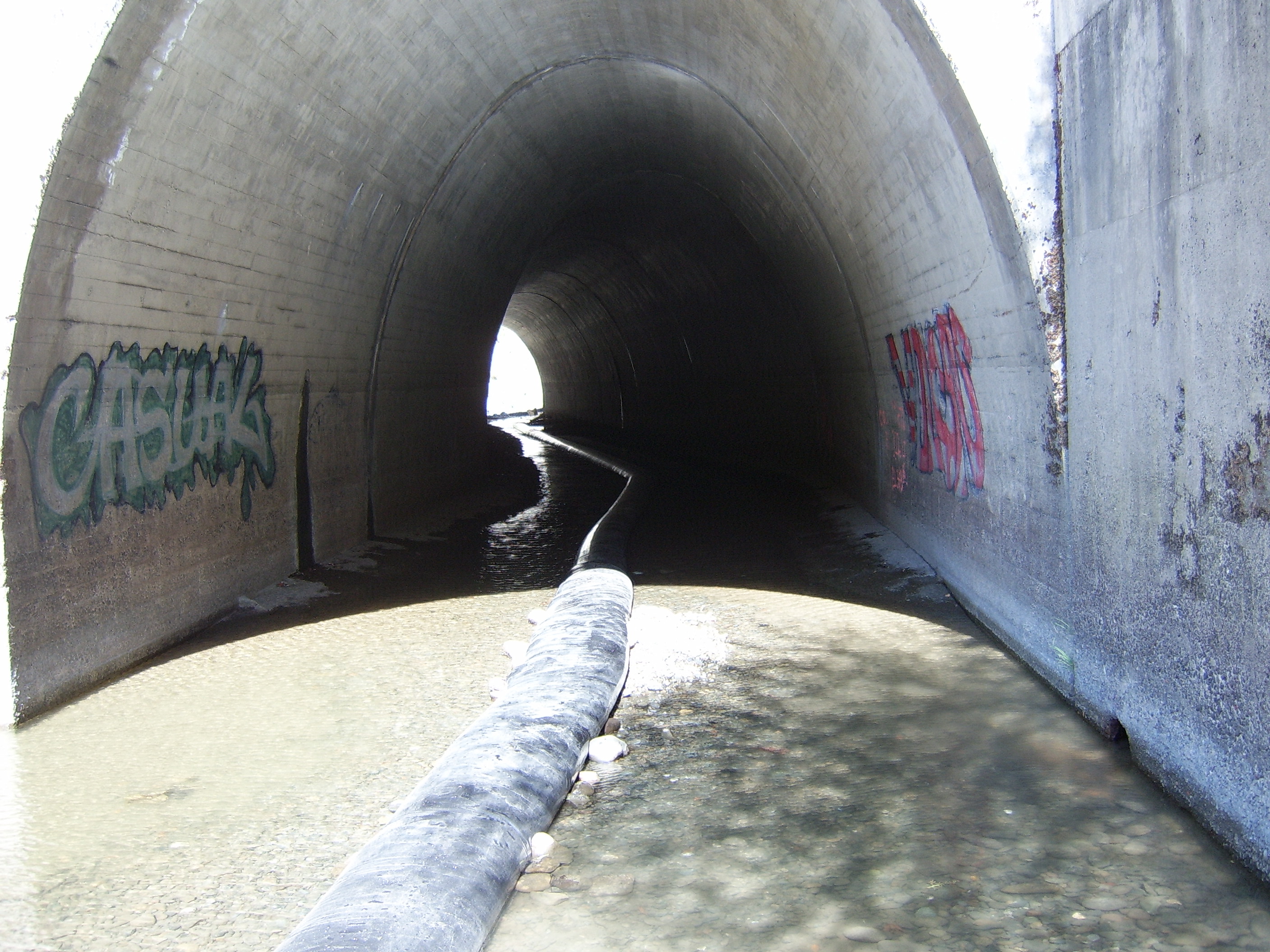 Leggett, CA 2005