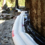 Leggett, CA 2005