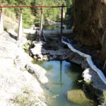 Leggett, CA 2005