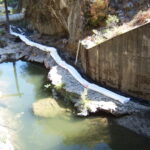 Leggett, CA 2005