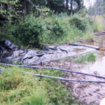 Machias, WA 2003