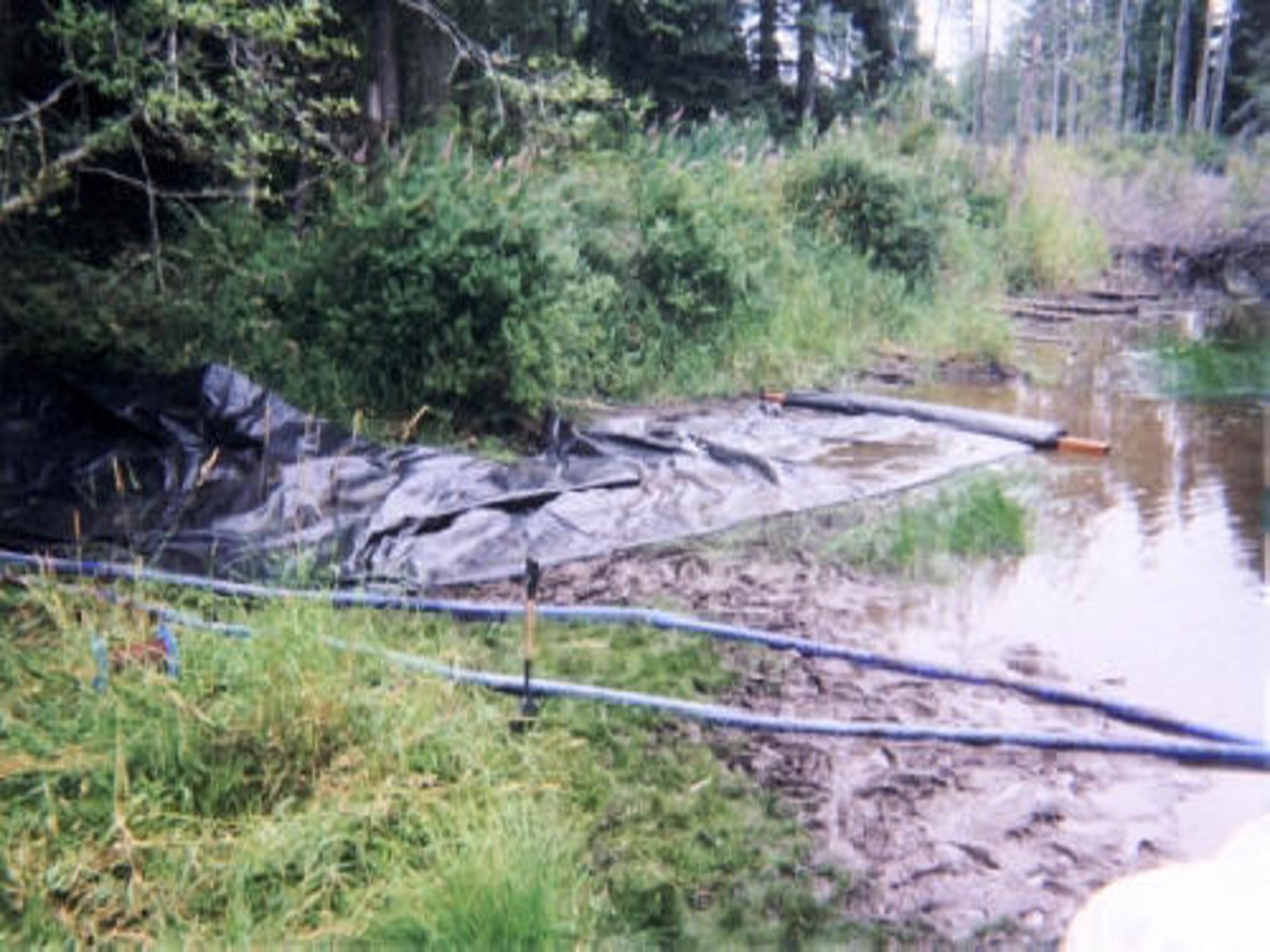 Machias, WA 2003