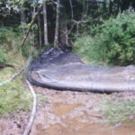 Machias, WA 2003
