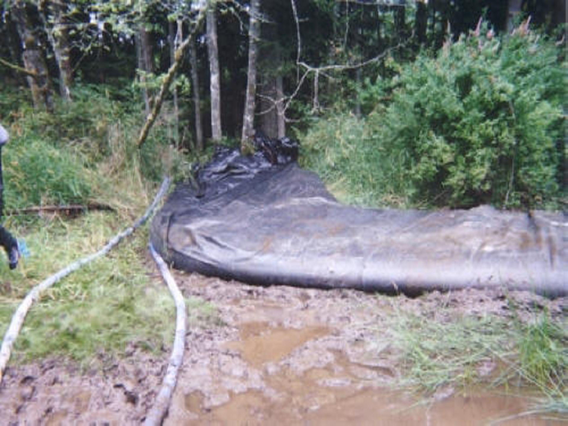 Machias, WA 2003