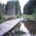 Machias, WA 2003