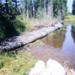 Machias, WA 2003