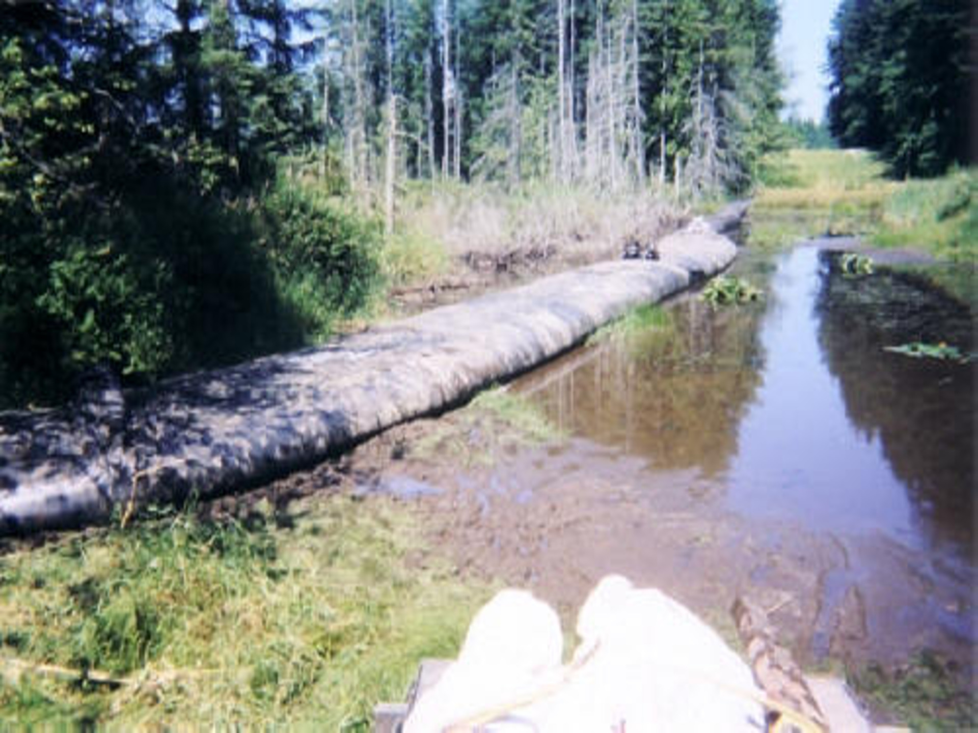 Machias, WA 2003