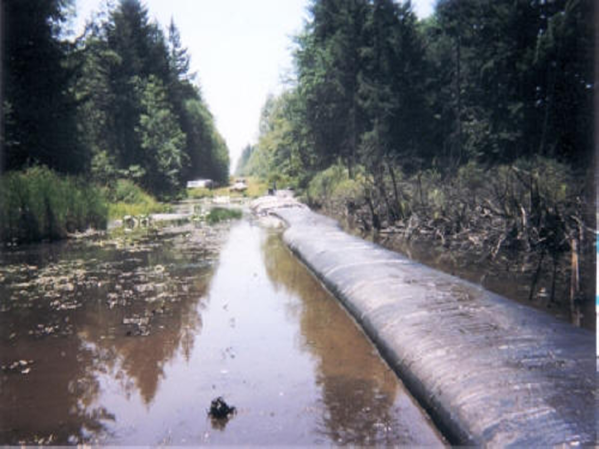 Machias, WA 2003