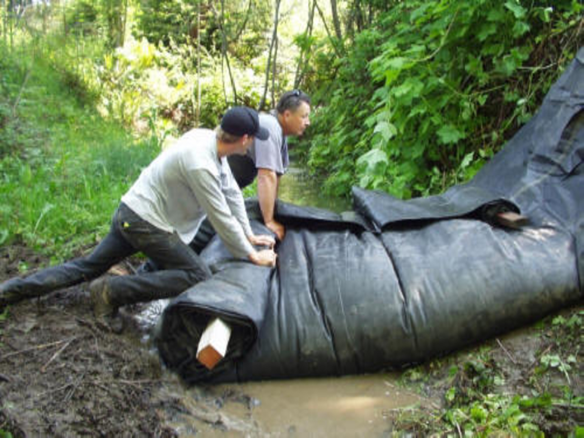 Carlotta, CA 2003
