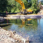 Cedar River, Washington 1996