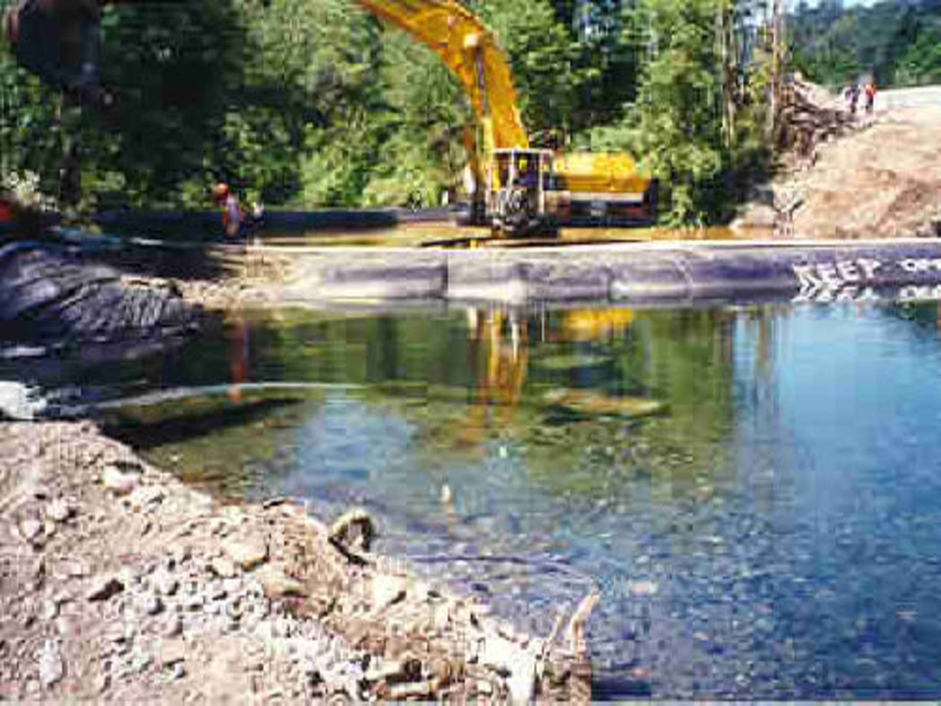 Cedar River, Washington 1996