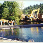 Cedar River, Washington 1996