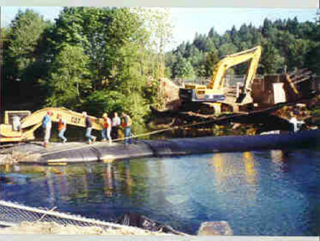 Cedar River, Washington 1996