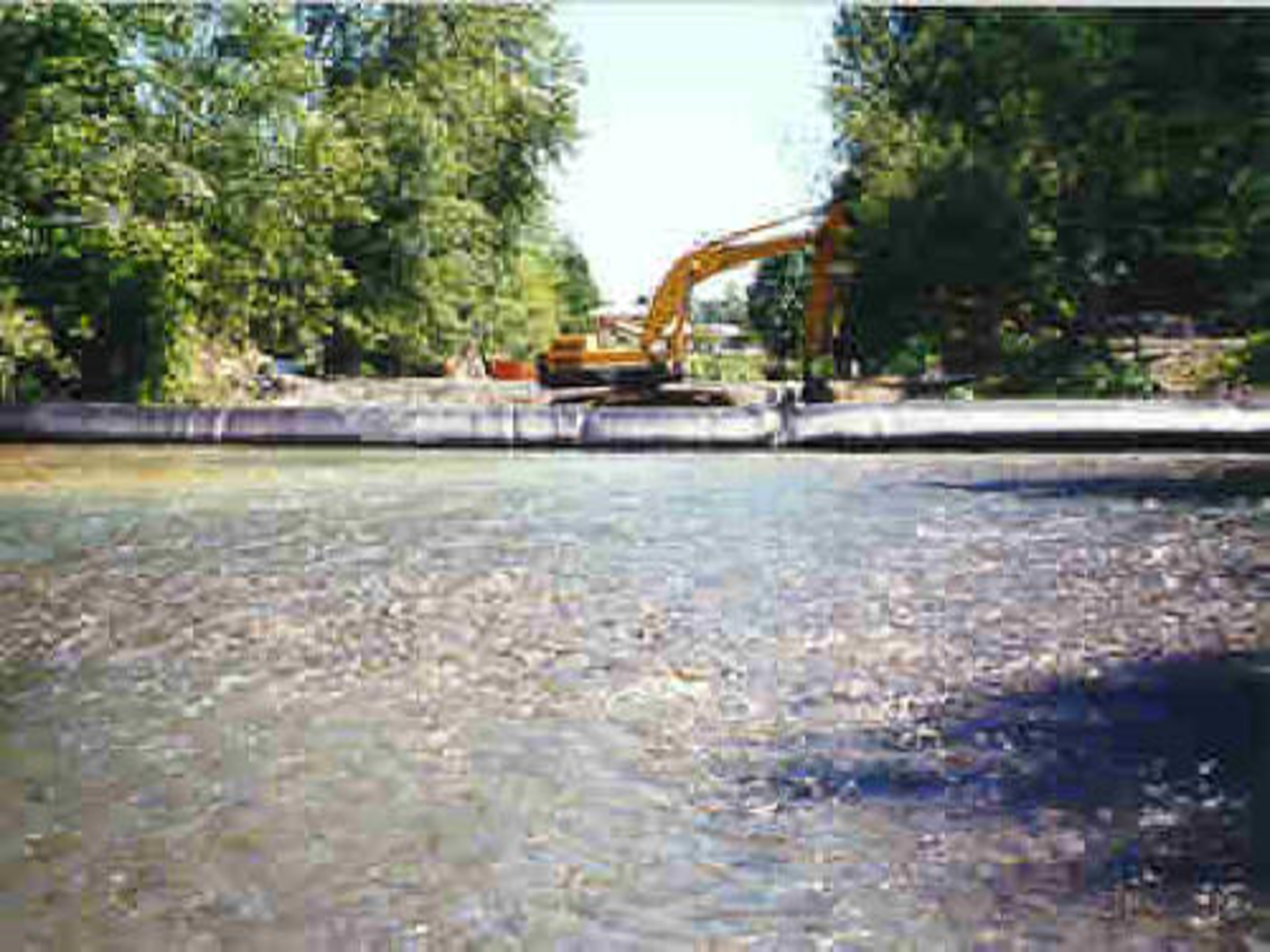 Cedar River, Washington 1996