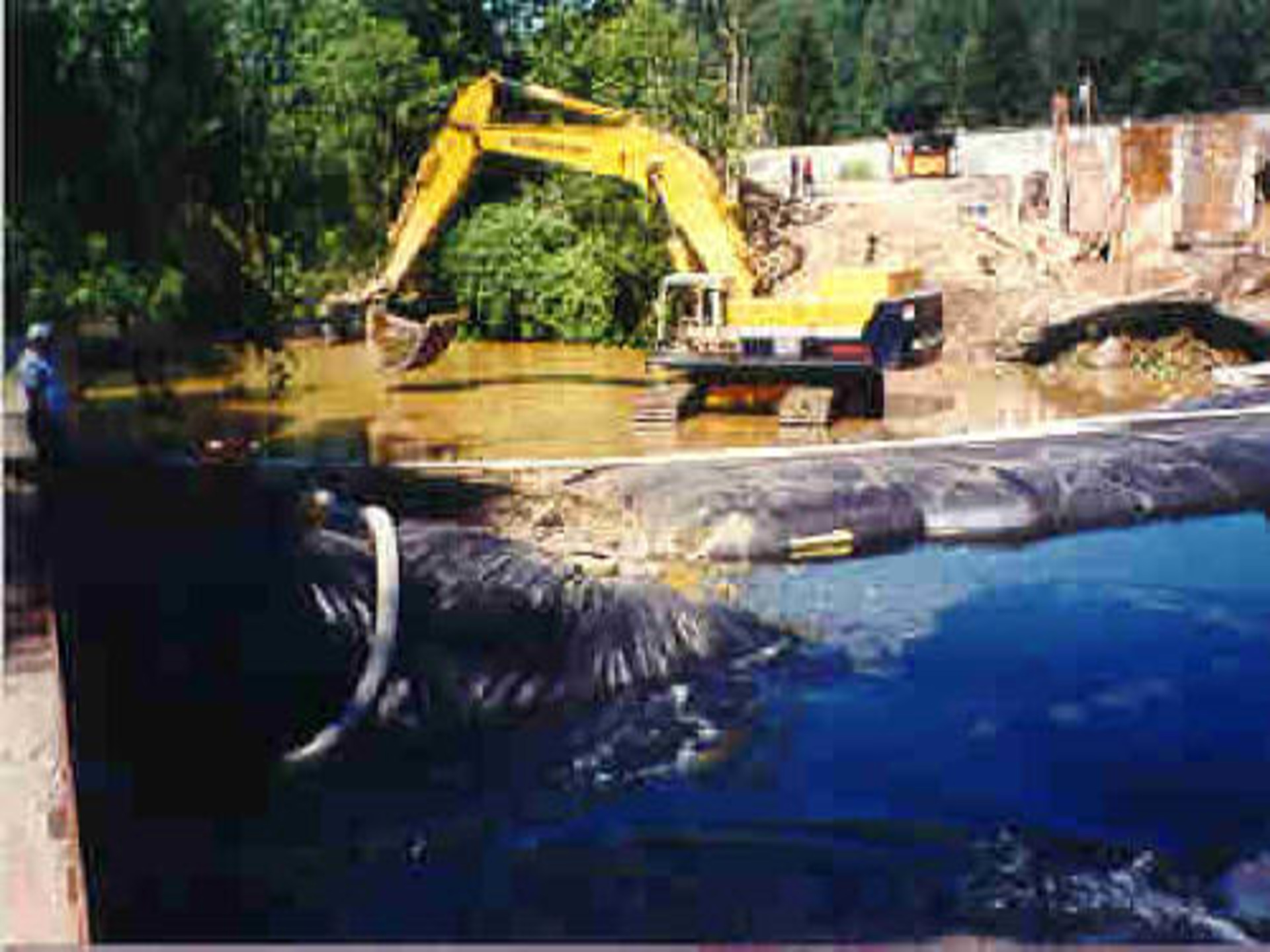 Cedar River, Washington 1996