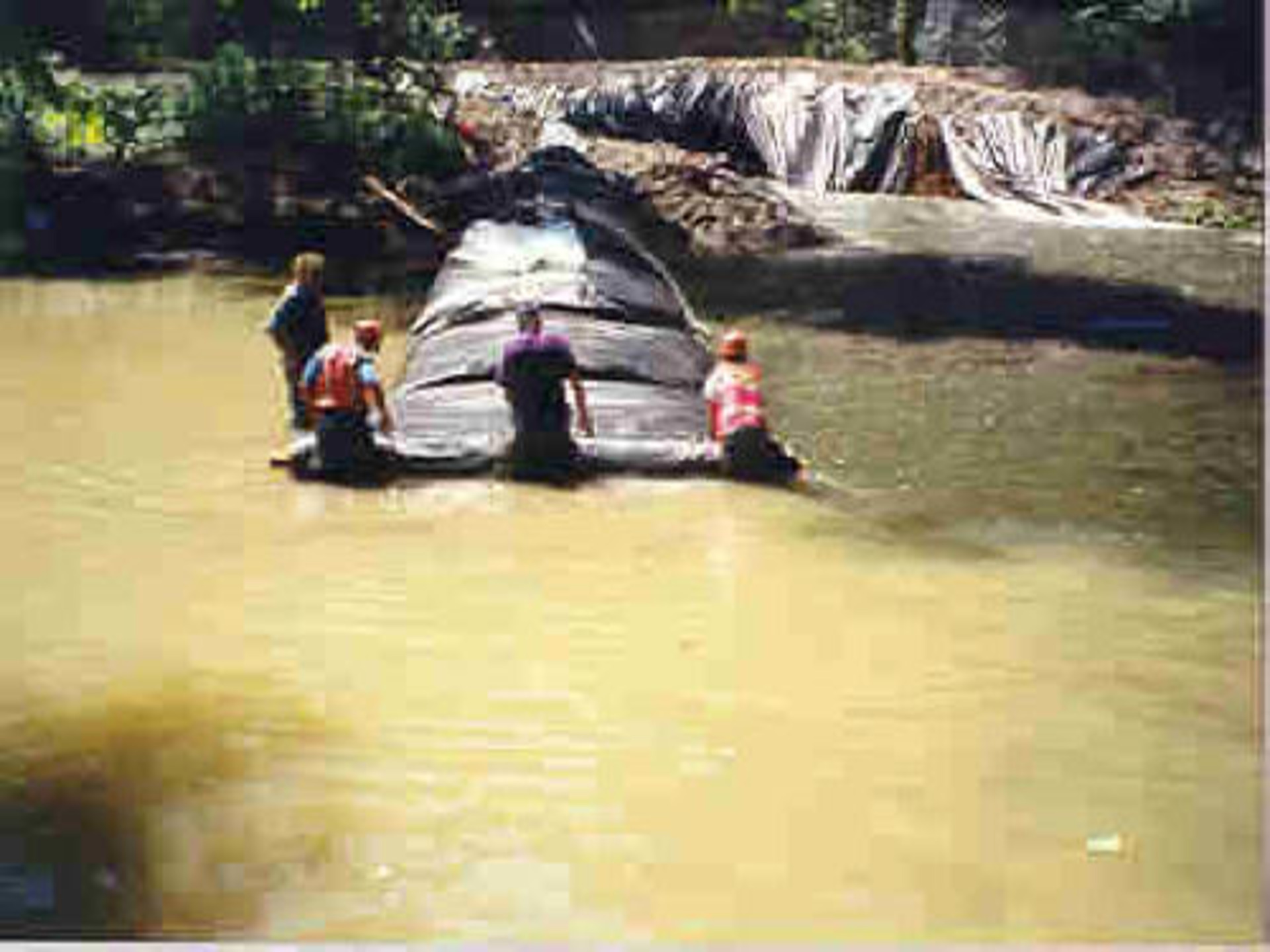 Cedar River, Washington 1996