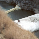 The Dalles, OR 2000
