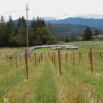 Fruitland, CA 2003