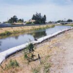 Petaluma, CA 2003