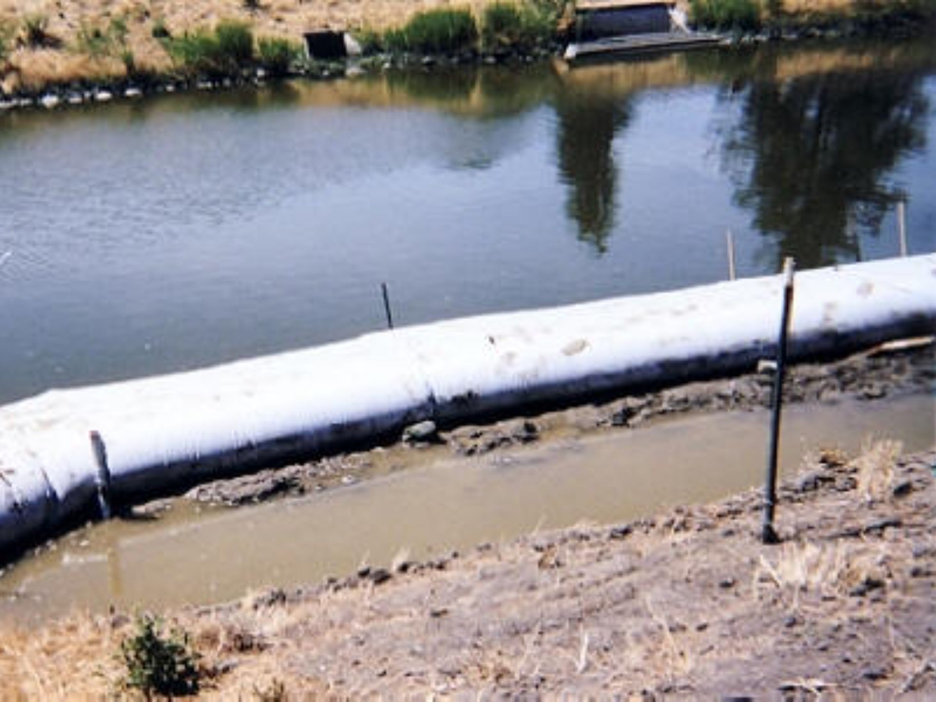 Petaluma, CA 2003