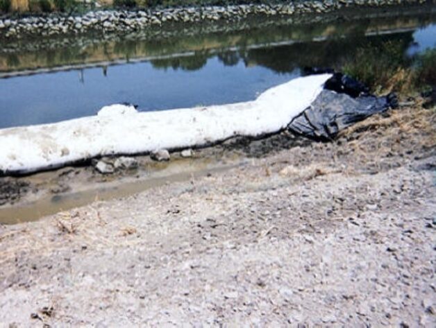 Petaluma, CA 2003